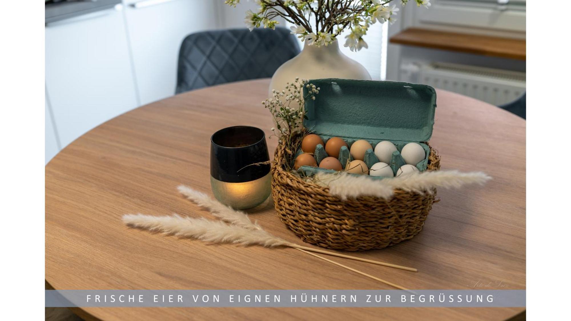 Apartment Leinetal - Bester Schlafkomfort In Hochwertiger Hotelbettwaesche, 3 Zimmer - Grosse Kueche, Duschbad & Parkplatz Northeim Esterno foto